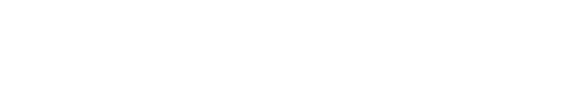 SW Umwlettechnik